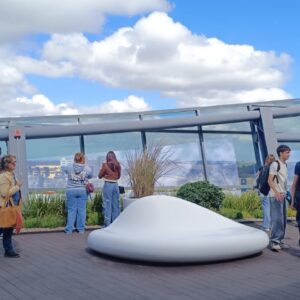 WhatsApp Image 2025-08-29 at 4.20.26 PM