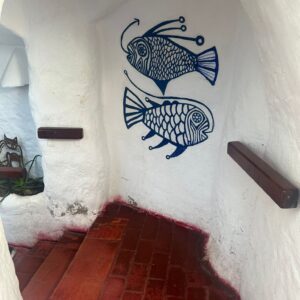 WhatsApp Image 2025-10-13 at 12.09.09 PM (5)