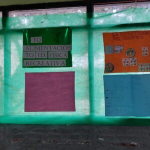 WhatsApp Image 2025-10-13 at 8.11.15 PM