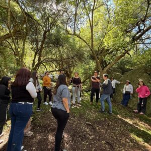 WhatsApp Image 2025-10-16 at 9.21.06 AM