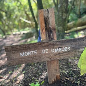 WhatsApp Image 2025-10-16 at 9.21.07 AM (1)