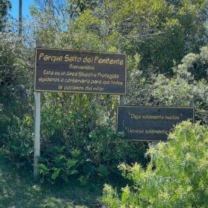 WhatsApp Image 2025-10-16 at 9.21.12 AM (3)