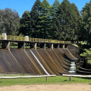 WhatsApp Image 2025-10-16 at 9.21.12 AM