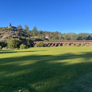 WhatsApp Image 2025-10-16 at 9.21.13 AM