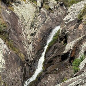 WhatsApp Image 2025-10-16 at 9.21.14 AM (3)