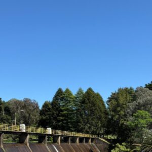 WhatsApp Image 2025-10-16 at 9.21.15 AM (1)