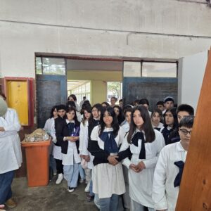 WhatsApp Image 2025-10-22 at 10.08.25 AM